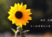 雷火电竞下载-宇宙级升维，西亚卡姆的恒星演化如何将活塞燃为星尘