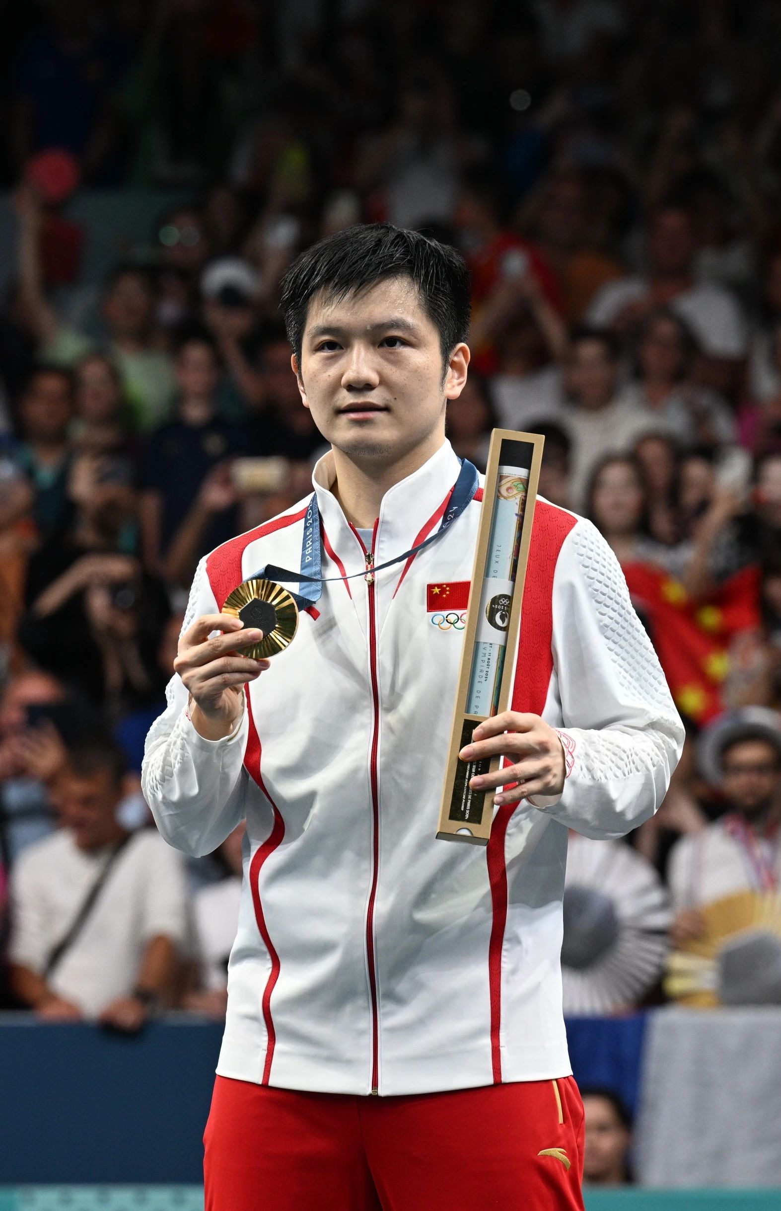 包含奥地利乒乓球队绝地反击瑞典乒乓球队，樊振东惊艳世界的词条